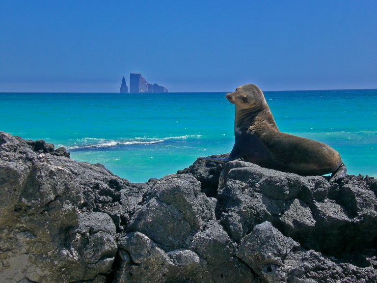 Disfruta La Biodiversidad Elmejorferiadoen Galápagos Un Destino Que