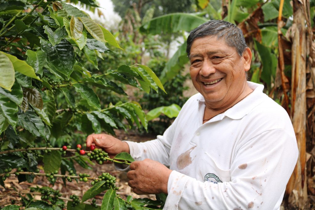 Café de Galápagos, aroma y sabor para descubrirlo en este