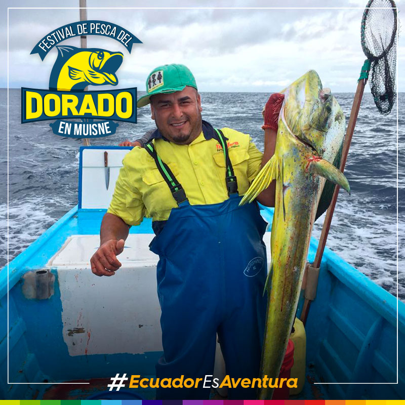 Pesca de dorado: cuáles son los mejores lugares para realizarla