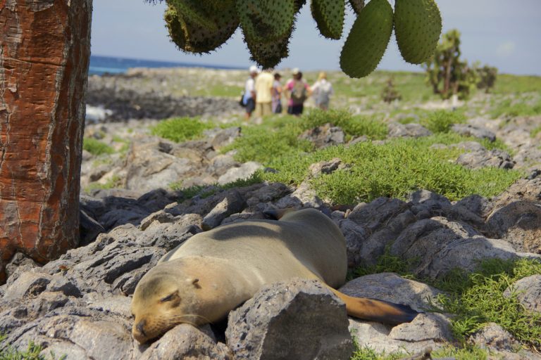 La Biodiversidad De Galápagos Te Espera En Este Feriado Ministerio De