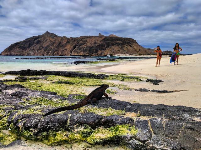 Lugares Increíbles De Galápagos Para Descubrir Desde Casa Ministerio De Turismo 3488