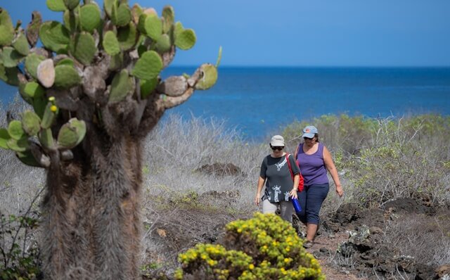 Lugares Increíbles De Galápagos Para Descubrir Desde Casa Ministerio De Turismo 5801